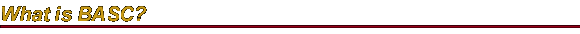 h-what.gif (1238 bytes)
